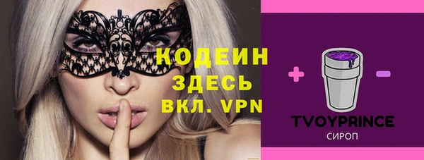 индика Кодинск