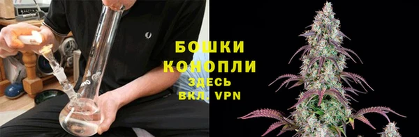 дживик Козловка