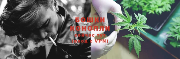 дживик Козловка