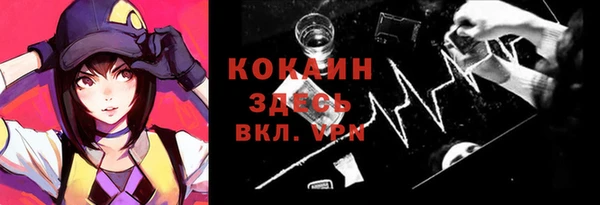 индика Кодинск