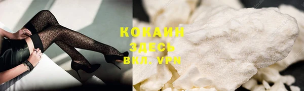 дживик Козловка