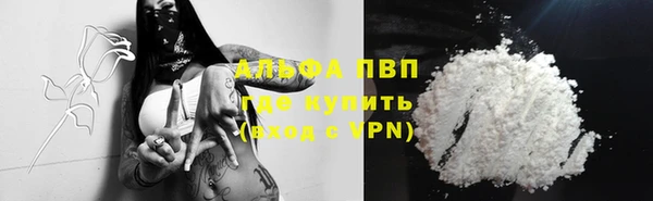 индика Кодинск
