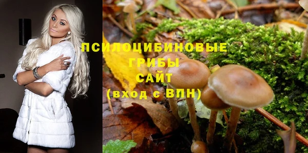 ECSTASY Козельск