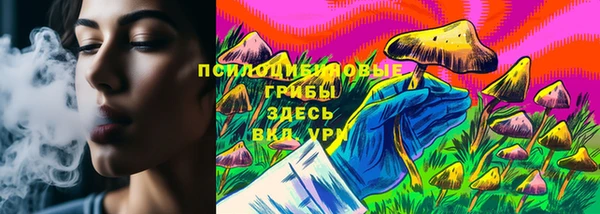 индика Кодинск