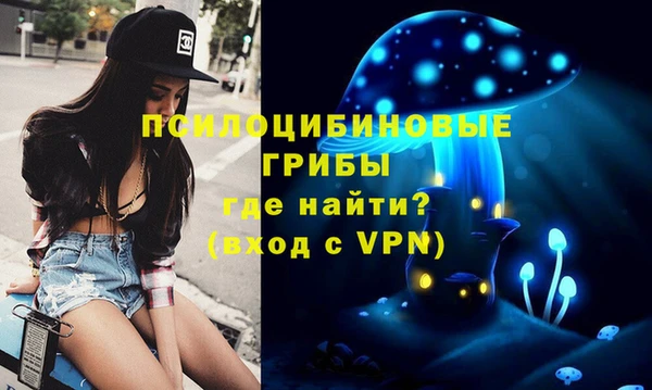 ECSTASY Козельск