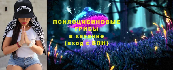 ECSTASY Козельск
