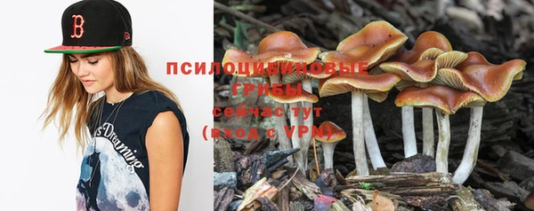 индика Кодинск
