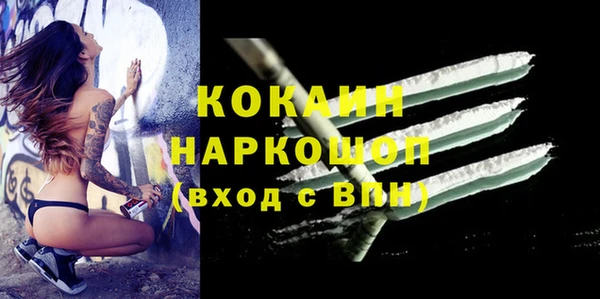 индика Кодинск