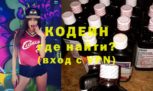 индика Кодинск